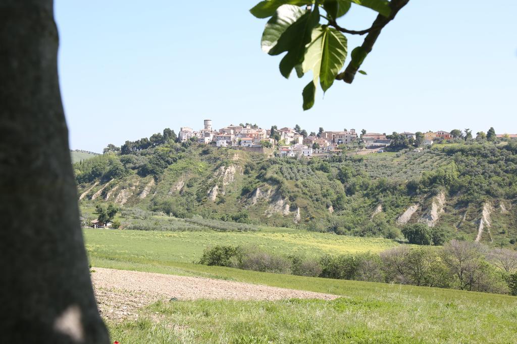 Morro dʼOro La Locanda Del Picchio Country House المظهر الخارجي الصورة